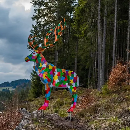 Sohnrey Fuer 4 Gaeste,