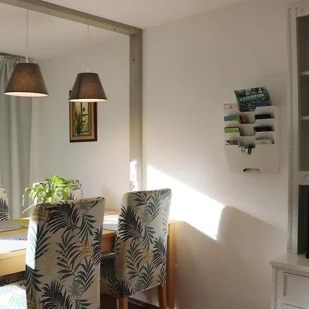 Sohnrey Fuer 4 Gaeste, 公寓