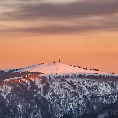 Sohnrey Fuer 4 Gaeste, 公寓