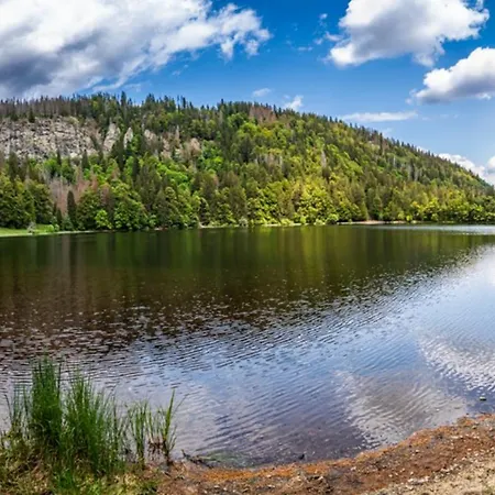 Sohnrey Fuer 4 Gaeste, 公寓