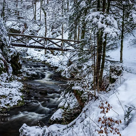 公寓 Sohnrey Fuer 4 Gaeste,