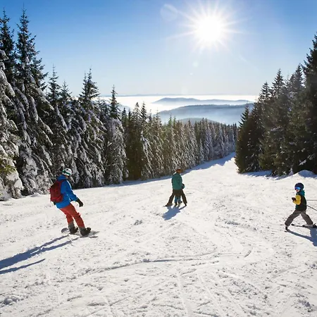 Sohnrey Fuer 4 Gaeste, *